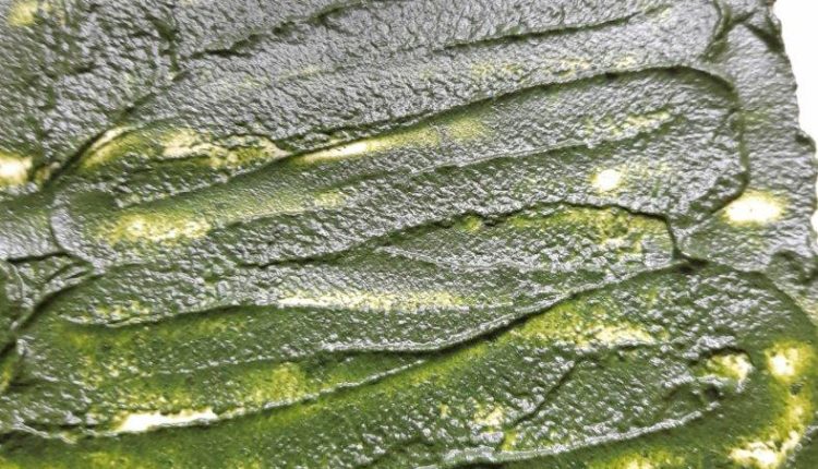 Сытная закуска